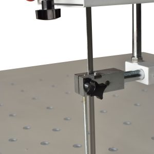 LM SF close copiar jpg