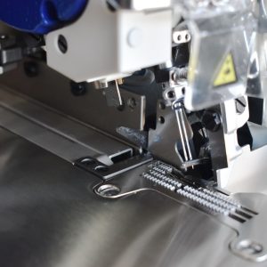 LM D canto dir Grande