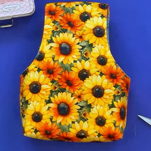 bolsa novelos ()